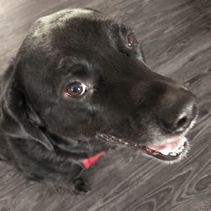 Meet your Posher, Matt